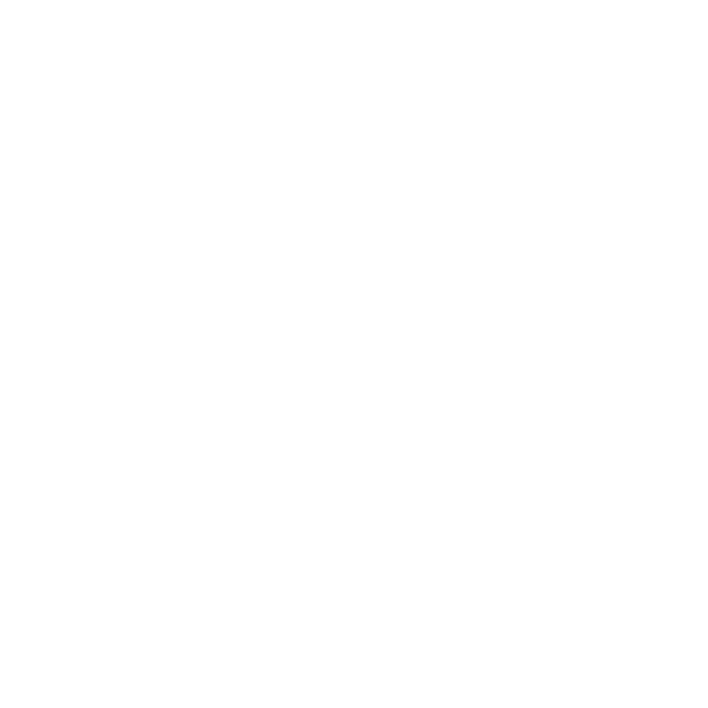 Express Logo